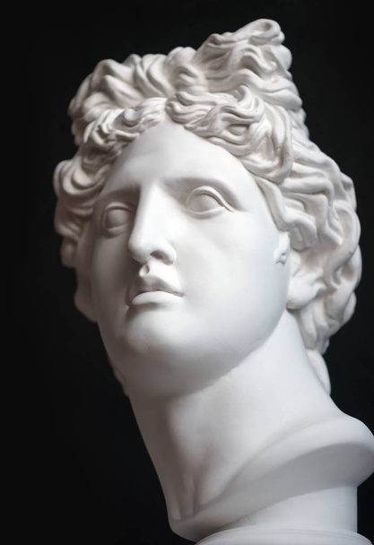Gypsum statue of Apollo's head. Man. Statue.  - Photo, Image