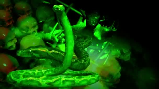 animaatio ihmisten kallo ja käärmeet edessä näytön
 - Materiaali, video