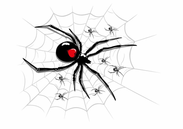 illustration of a spider above a spider web, with scattered small spiders. - Vector, Image