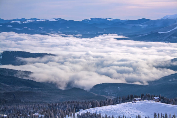 幻想的な冬の風景です。カルパティア山脈、ウクライナ. - 写真・画像