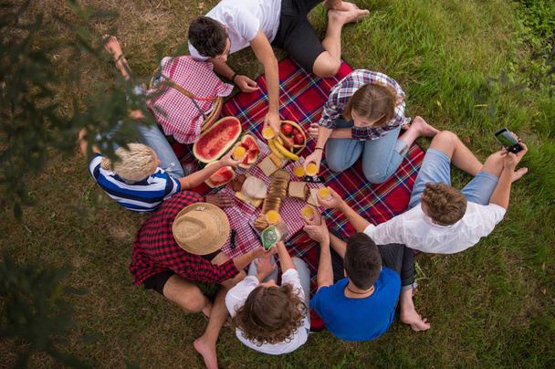 top view on group of young friends enjoying picnic time, drinks and food in beautiful nature in daylight - Fotoğraf, Görsel