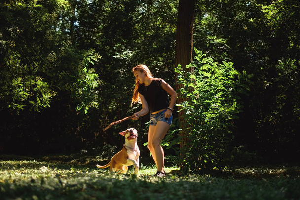 Молода дівчина тримає гілку для свого собаки в парку в сонячний день
 - Фото, зображення
