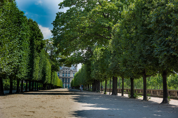 Fákkal szegélyezett sugárútján, a jardin de tuileries-Párizs, Franciaország - Fotó, kép