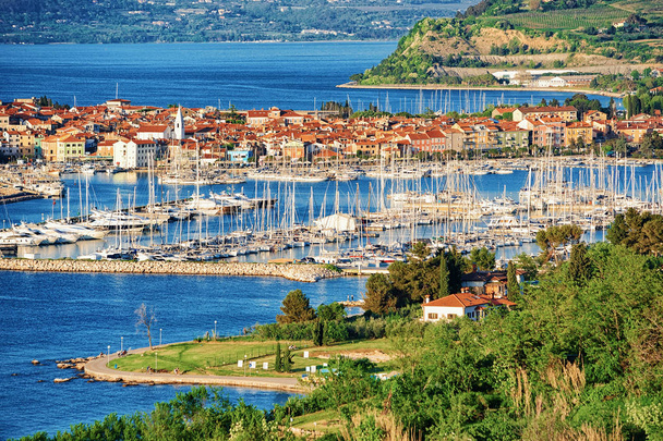 Panoramic view on Marina in the Adriatic Sea in Izola fishing village, Slovenia - Photo, Image