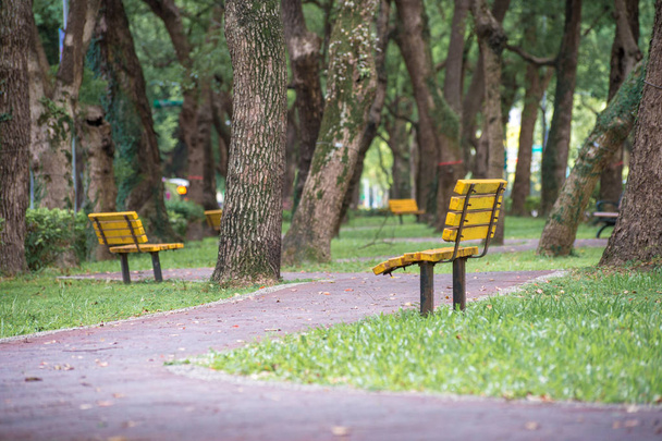 Parque, uma cadeira no parque, relaxante, Banyan árvores na Dunhua Road, Taipei. sensação de calma
 - Foto, Imagem