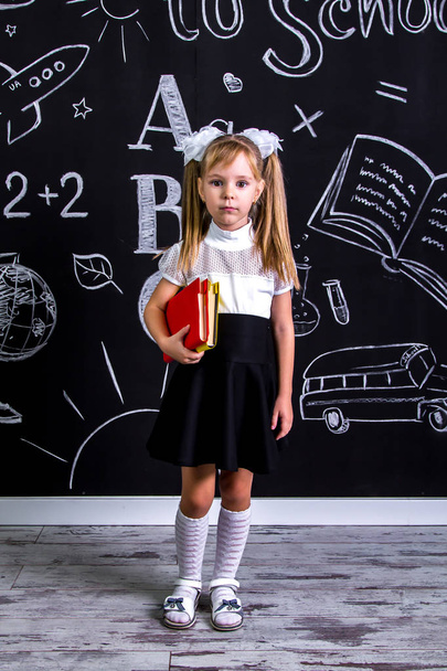 Schoolgirl standing before the chalkboard as a background with a couple of books under the armpit. Portrait picture - Photo, Image