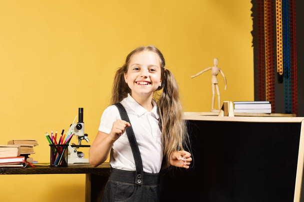 Schoolgirl with happy smile and ponytails stands in her classroom - Zdjęcie, obraz