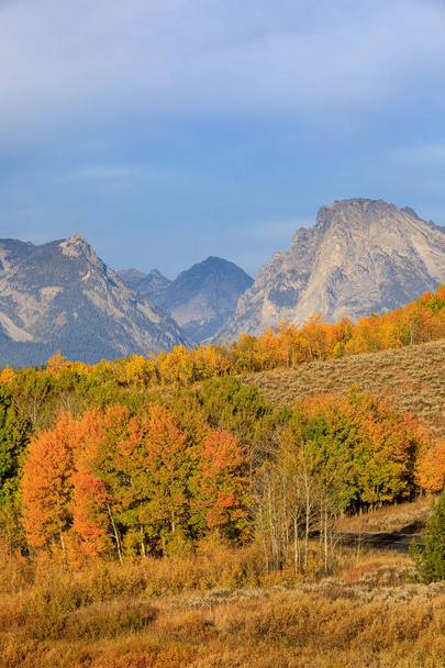 Tetonin maiseman kauneus syksyllä
 - Valokuva, kuva