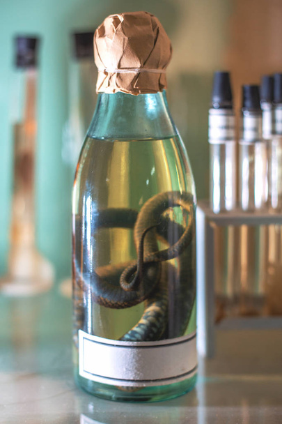 Összeadó kígyó folyékony formaldehid a palackot, mint minta vagy a mintapéldány ábrázolását biológiai tudományos laboratóriumban - Fotó, kép