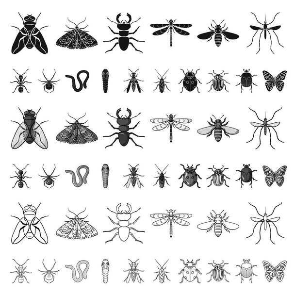 Different kinds of insects cartoon icons in set collection for design. Insect arthropod vector symbol stock web illustration. - Vektor, Bild
