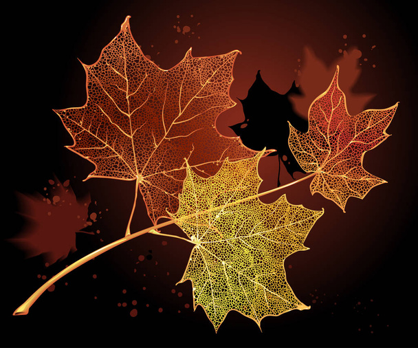 Gałąź z liśćmi klonu na ciemnym tle. Szczegółowy wektor ilustracja ręcznie rysowany jesienny liść. Vintage retro jesień sezonowy wystrój - Wektor, obraz