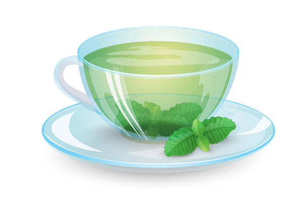 Green tea with mint in a transparent cup isolated on whitet background. Organic healthy drink. Vector illustration - Vector, Imagen