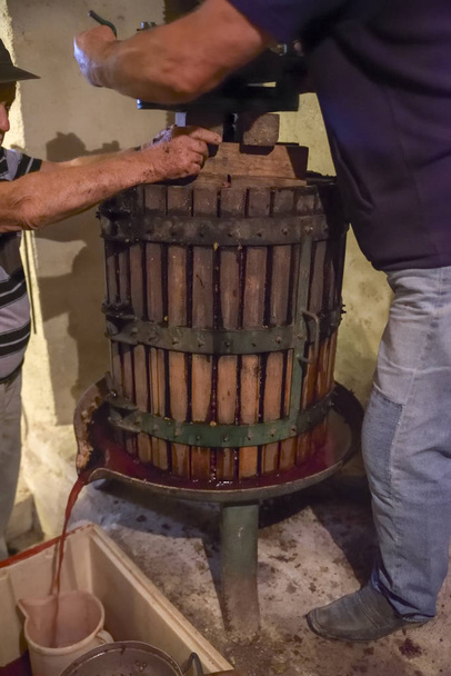 Vinificazione. Vecchio torchio in legno con mosto all'interno. Pressatura delle uve per il vino rosso
 - Foto, immagini