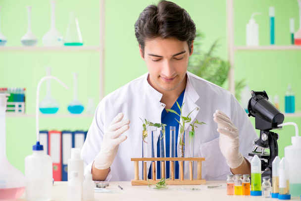 Mladý biotechnologický vědec chemik pracující v laboratoři - Fotografie, Obrázek