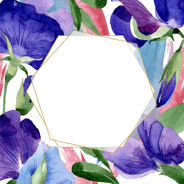 Watercolor purple sweet pea flower. Floral botanical flower. Frame border ornament square. Aquarelle wildflower for background, texture, wrapper pattern, frame or border. - Foto, Imagem