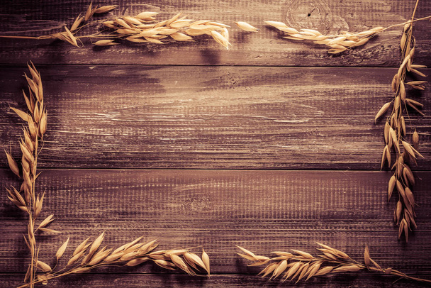 ears of oat on wooden background - Photo, image