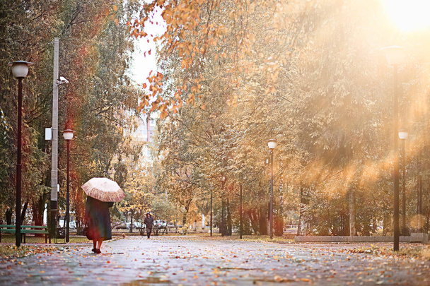 公園で秋の雨 - 写真・画像