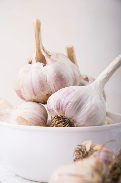 close-up healthy garlic - Foto, immagini