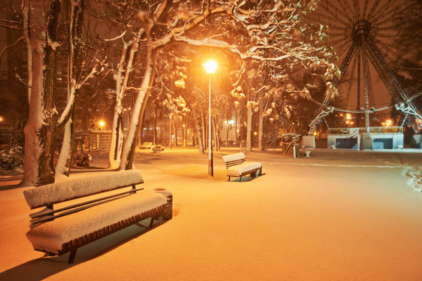 Zicht op bank tegen kerstboom en schijnende lantaarn door sneeuw. Nachtschot. - Foto, afbeelding
