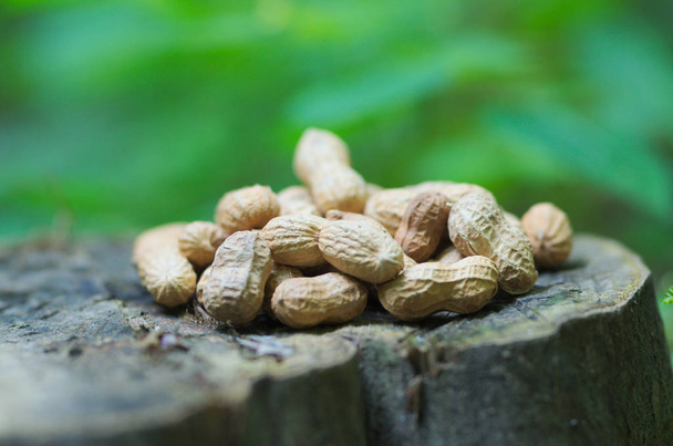 Amendoins na natureza, tema de comida
 - Foto, Imagem