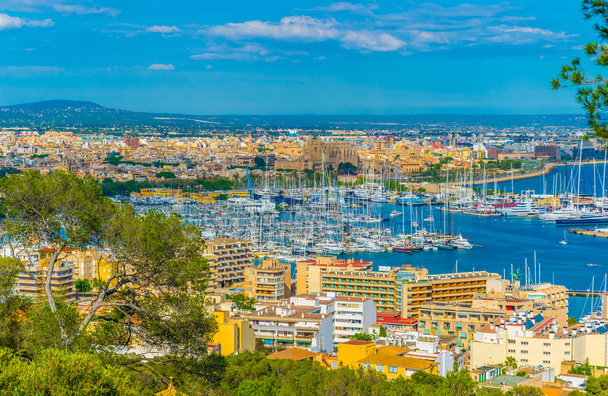 Luftaufnahme des Hafens in Palma de Mallorca, Spanien - Foto, Bild