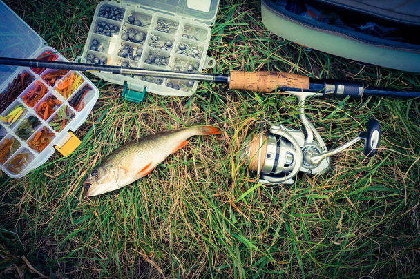 a halászat fogalmát: tackle, horgászbot, hal a füvet - Fotó, kép