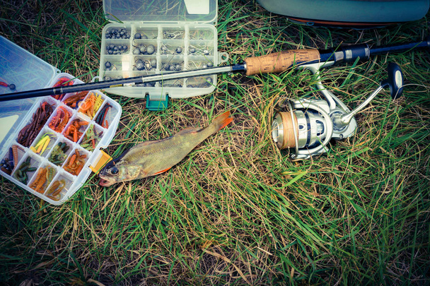 concetto di pesca: affrontare, canna da pesca, pesce sull'erba
 - Foto, immagini