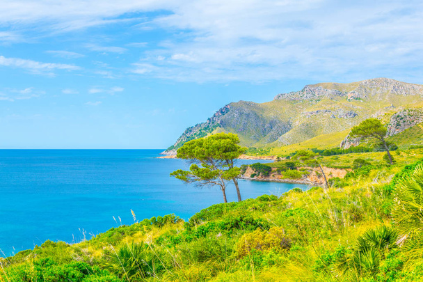 Cap Farrutx at Mallorca, Spai - Foto, afbeelding