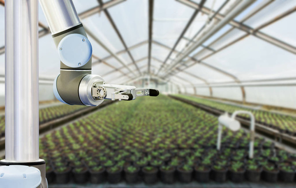 The robot arm in a greenhouse - Foto, Bild