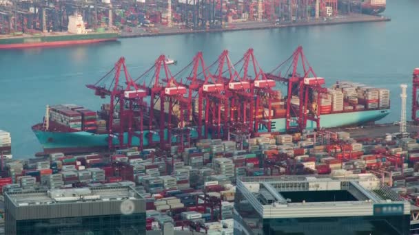 Containerhafen mit Schiffen Zeitraffer von hong kong. Schwenk nach oben - Filmmaterial, Video