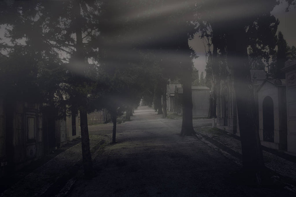 Derniers rayons de lumière dans le vieux cimetière européen sombre
 - Photo, image