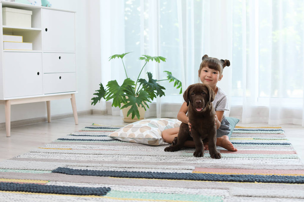 Adorable chocolate labrador retriever and little girl at home - Фото, изображение