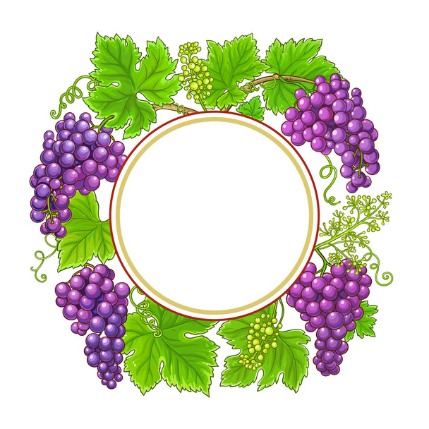 grapes  vector frame on white background - Vector, Image
