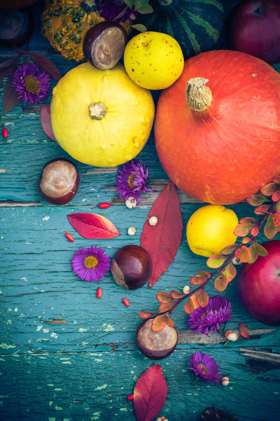 Autumnal background with fruits and seasonal crops - Valokuva, kuva