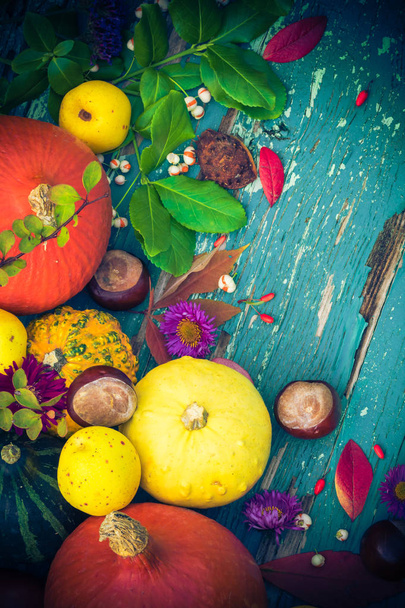 Autumnal background with fruits and seasonal crops - 写真・画像