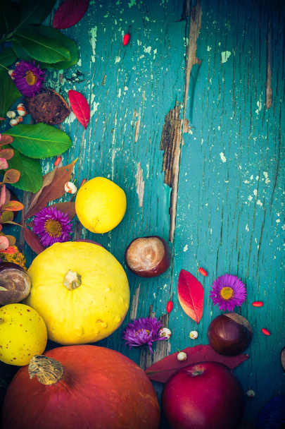 Autumnal background with fruits and seasonal crops - Foto, afbeelding