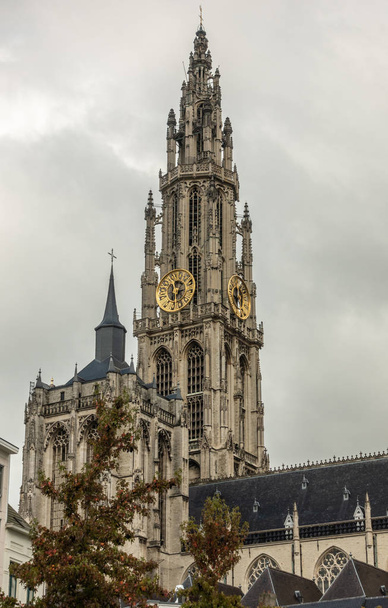 Amberes, Bélgica - 24 de septiembre de 2018: Primer plano de las torres y nave de Onze-Lieve-Vrouwe Catedral de Nuestra Señora en la parte posterior bajo el cielo gris nublado. Un follaje verde.
. - Foto, Imagen