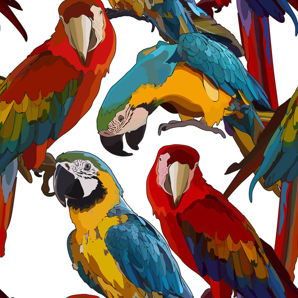 Seamless background with Ara parrots. Vector isolated elements on the white background. - Vector, Image