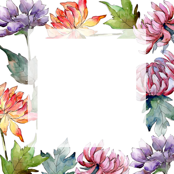 Aquarel kleurrijke aster bloem. Floral botanische bloem. Frame grens ornament vierkant. Aquarelle wildflower voor achtergrond, textuur, wrapper patroon, frame of rand. - Foto, afbeelding