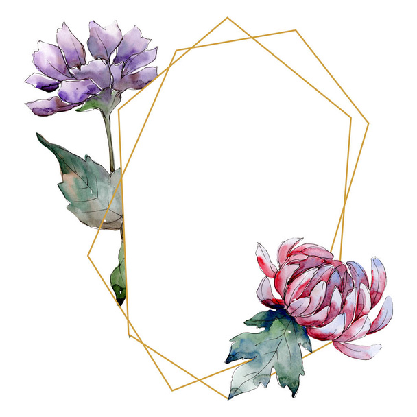 Aquarel kleurrijke aster bloem. Floral botanische bloem. Frame grens ornament vierkant. Aquarelle wildflower voor achtergrond, textuur, wrapper patroon, frame of rand. - Foto, afbeelding