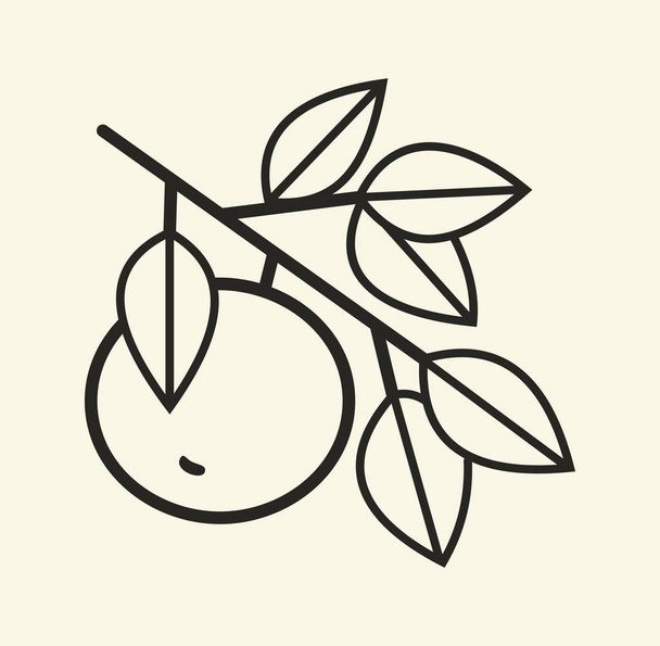 manzana cuelga sobre una rama contorno negro sobre un fondo blanco dibujo simple
 - Vector, imagen