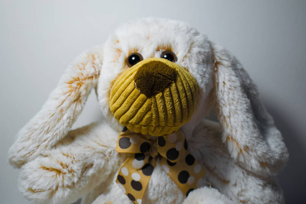 Lonely soft toy teddy bear on a white background in brown shades - Fotografie, Obrázek