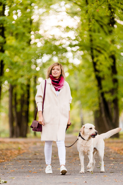 A woman walks with her labrador in the fall. - Zdjęcie, obraz