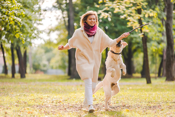 .Een jonge vrouw speelt met haar hond Labrador in het park in de herfst. Gooit een stok om de hond. - Foto, afbeelding