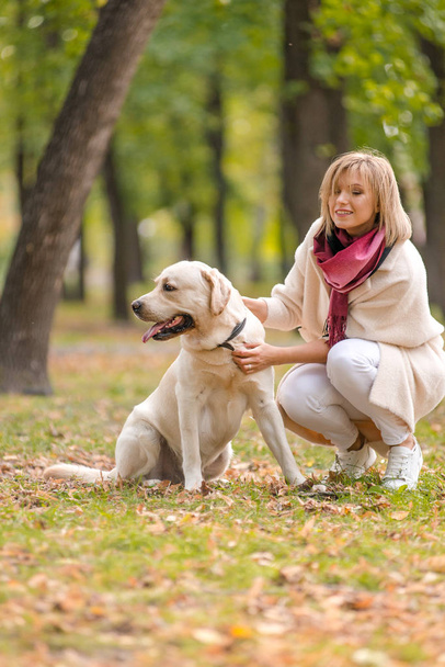 Beautiful young woman walks with her retriever in the park in autumn. - Fotoğraf, Görsel