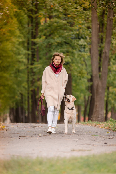 Žena chodí s její labrador na podzim. - Fotografie, Obrázek