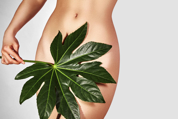 Waxing for beautiful woman. Brazilian laser hair removal bikini line an sexy body shapes. Body care and clean skin. Sexy woman in spa - Foto, imagen