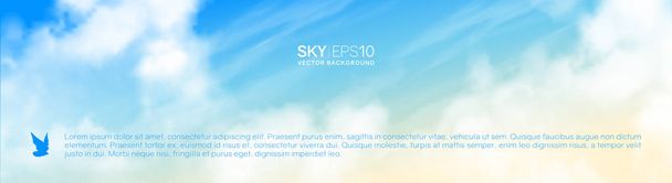 Narrow horizontal vector banner with realistic beige-blue sky - Vector, Image