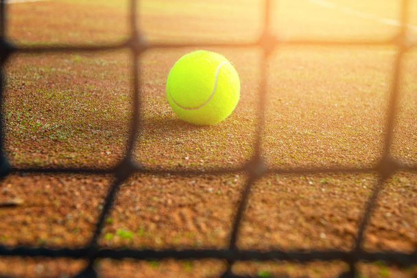 close-up tennis ball and net on court with sunlight in background - Foto, immagini