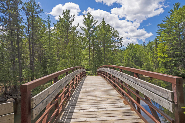 Pont dans les bois du Nord dans le parc provincial Chutes en Ontario, Canada
 - Photo, image
